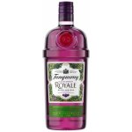 Tanqueray Blackcurrant 41.3% 1 l (holá láhev) – Sleviste.cz