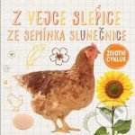 Z vejce slepice, ze semínka slunečnice - Životní cyklus – Hledejceny.cz