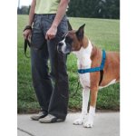 PetSafe Postroj EasyWalk Deluxe – Sleviste.cz