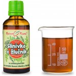 Bylinné kapky Slinivka a žlučník tinktura 50 ml – Hledejceny.cz