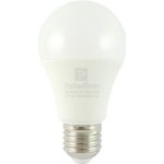 Palladium LED žárovka E27 12 W, 2700 K, 1080 lm (A60) – Zboží Mobilmania