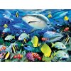 Malování podle čísla Royal Langnickel Malování podle čísel 30x40 cm - Žraloci u útesu