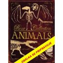 Kniha Kosti a kostry: Zvířata