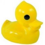 Směr výrobní družstvo Kačer žlutý – Zboží Dáma