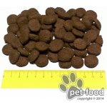 Red Dingo obojek Cosmos – Hledejceny.cz