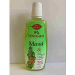 Dentamint Mentol 500 ml – Zboží Mobilmania