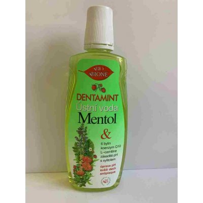 Dentamint Mentol 500 ml – Zboží Mobilmania
