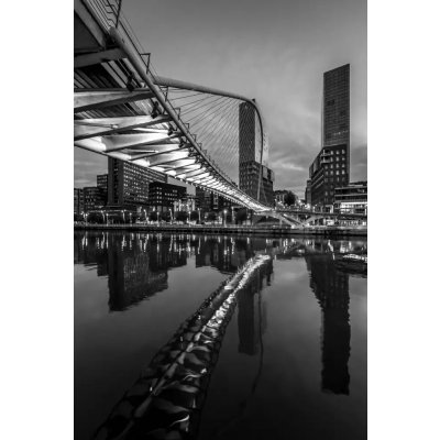 Fotografie - Silveira, Fernando: Město,řeka a most - reprodukce obrazu – Sleviste.cz