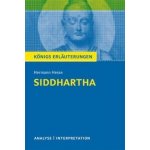 Siddhartha von Hermann Hesse – Hledejceny.cz