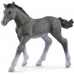 Schleich 13758 Kůň Thakener hříbě – Zbozi.Blesk.cz
