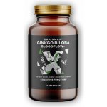 BrainMax Ginkgo Biloba Bloodflow+ 60 rostlinných kapslí – Hledejceny.cz