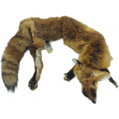 Bracco třídílný liščí aport celokožešinový- 6 kg, premium quality Váha: 6 kg – Hledejceny.cz