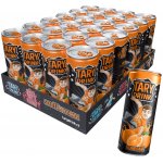 Tary Drink Pomeranč 24 x 250 ml – Zboží Mobilmania