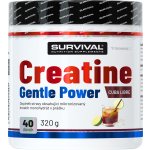 Survival Creatine Monohydrate Gentle Power 320 g – Zbozi.Blesk.cz