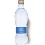 Royal Water MINERAL WATER Přírodní minerální voda s pH 7,4 0,5 l – Hledejceny.cz