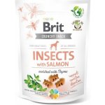 Brit Care Dog Crunchy Cracker Insects with Salmon enriched with Thyme 200 g – Zbozi.Blesk.cz