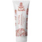 Ecce Vita Tulsi 100 ml – Zbozi.Blesk.cz