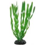 Hobby Vallisneria umělá rostlina 20 cm – Zboží Mobilmania