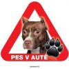 Autovýbava Grel nálepka na sklo pozor pes v autě pitbulteriér