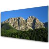 Obraz akrylový obraz Hora Les Příroda 100x50 cm