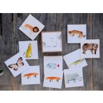 MFP Pexeso: Domácí zvířata 1 – Zboží Dáma