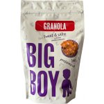 Big Boy Proteinová granola Sweet and Salty s příchutí slaného karamelu 360 g – Hledejceny.cz