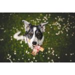 Marp Holistic Horská tyčinka XL 110 119 g SLEVA 30% polámaná – Sleviste.cz