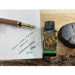 Inkoust Diamine Sherwood Green 30ml – Zboží Dáma