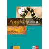 Aspekte junior C1. Medienpaket (4 Audio-CDs + Video-DVD) - Koithan, Ute