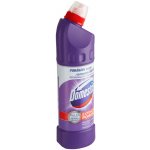 Domestos Extended Power Lavander WC dezinfekční a čistící přípravek, 750 ml – HobbyKompas.cz