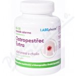 Labe Pharm Ostropestřec Extra s cholinem 60+30 tablet – Hledejceny.cz