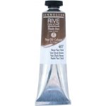 Sennelier Olejová barva Rive Gauche 407 Van Dyck Brown 40 ml – Sleviste.cz