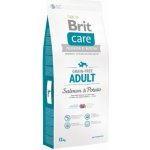 Brit Care Grain Free Adult Salmon & Potato 15 kg – Hledejceny.cz