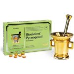 PHX Bioaktivní Pycnogenol 30 tablet – Hledejceny.cz