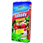 Agro CS Substrát pro jahody 45 l – Zboží Mobilmania