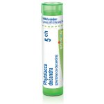 PHYTOLACCA DECANDRA POR 5CH GRA 4G – Hledejceny.cz