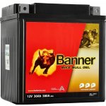 Banner AGM PRO 530 01 | Zboží Auto