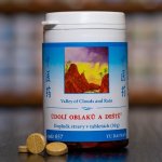 TCM Herbs Údolí oblaků a deště 100 tablet – Hledejceny.cz