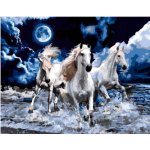 Norimpex Diamantové malování Koňské trio 30 x 40 cm – Hledejceny.cz