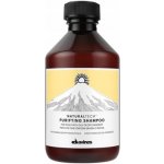 Davines Naturaltech Purifying Shampoo 100 ml – Hledejceny.cz