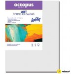 Octopus Hobby malířské plátno 20 x 30 cm 280 g/m2 – Sleviste.cz