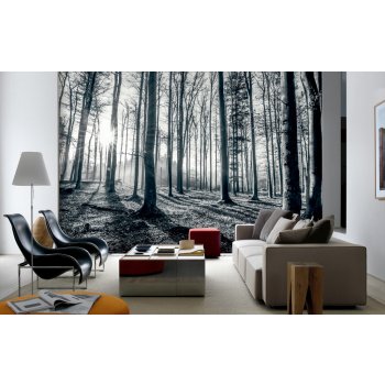 1Wall Vliesová fototapeta Černobílý les 366x253 cm