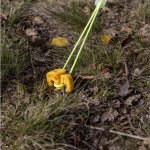 Yate Plastové kolíky se závitem 6ks – Zboží Dáma