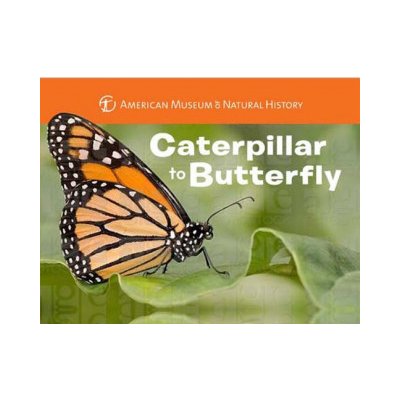 Caterpillar to Butterfly – Zboží Mobilmania