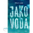 Kniha Jako voda - Wally Lamb