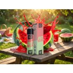 Infamous Liqonic Juicy Melon 10 ml – Zboží Dáma
