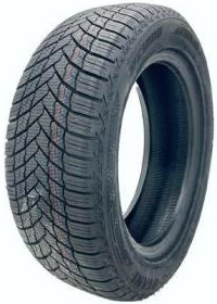 Otani WE1000 195/65 R15 91T