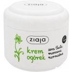 Ziaja okurka pleťový krém 100 ml – Zboží Dáma