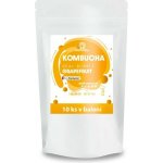 Renovality Kombucha Real Bubble Lemon/Ginger 10 x 10 g – Hledejceny.cz
