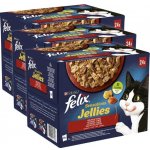 Felix Fantastic Lahodný výběr v želé 72 x 85 g – Hledejceny.cz